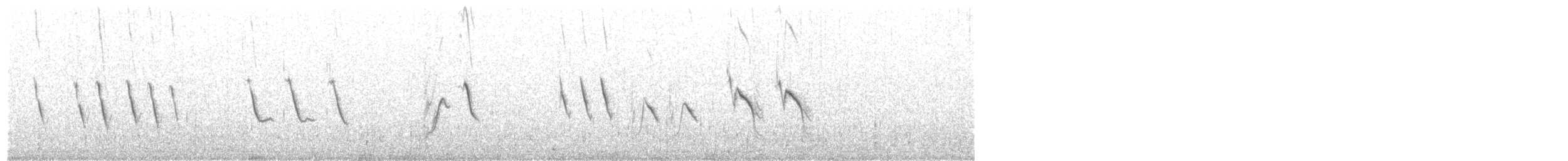 African Pied Wagtail - ML639016123