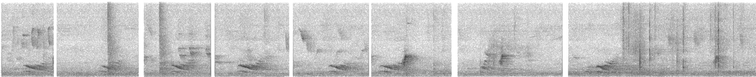 Gray Go-away-bird - ML639016702