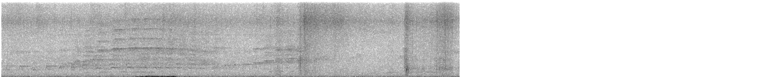 Oriental Pied-Hornbill - ML639017072