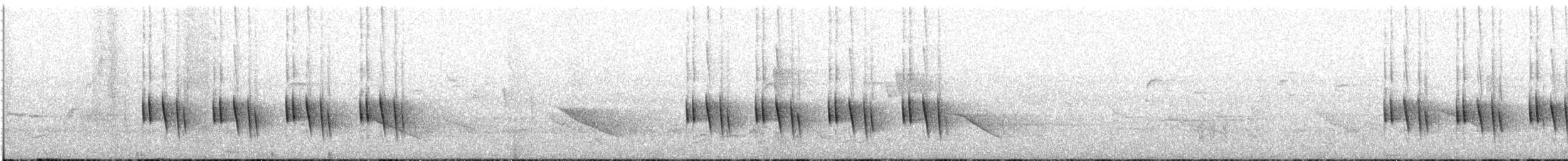 Black-faced Apalis - ML639017272