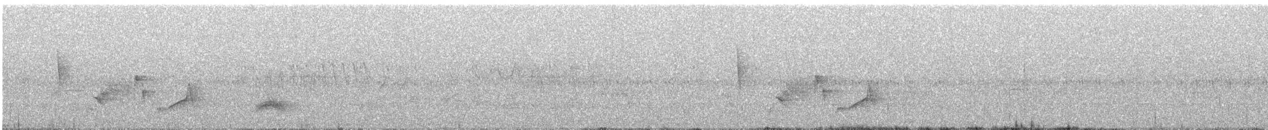 White-eyed Vireo - ML639019490