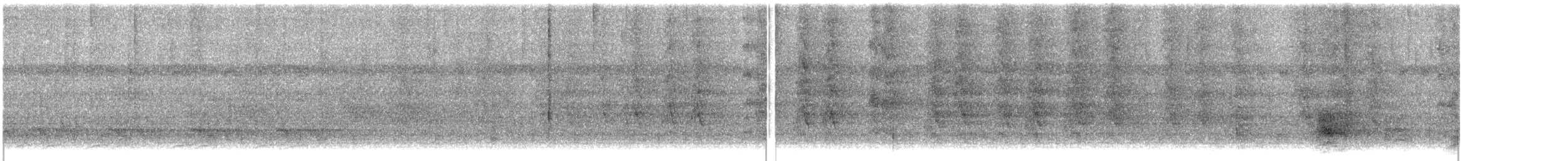 oransjepanneparakitt - ML639021290