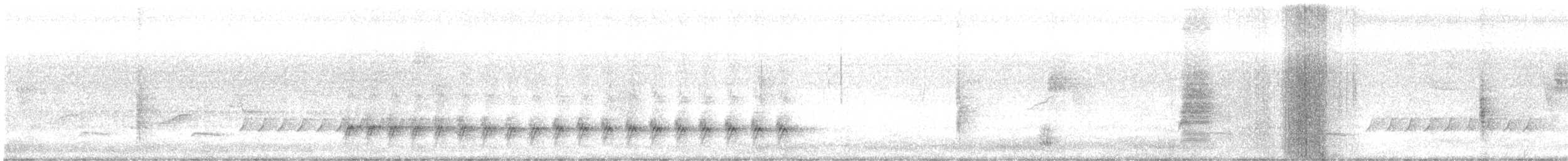 paruline sp. - ML639023927