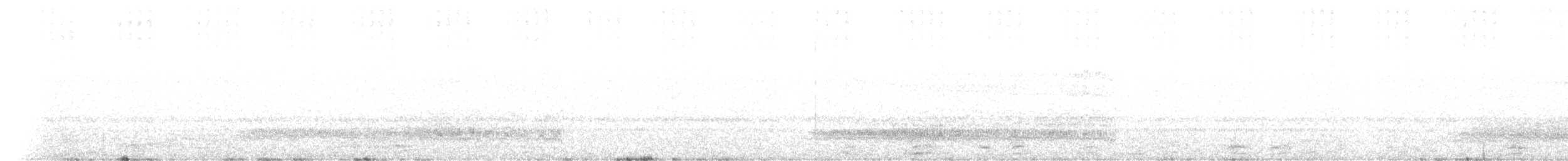 Western Barn Owl - ML639025250