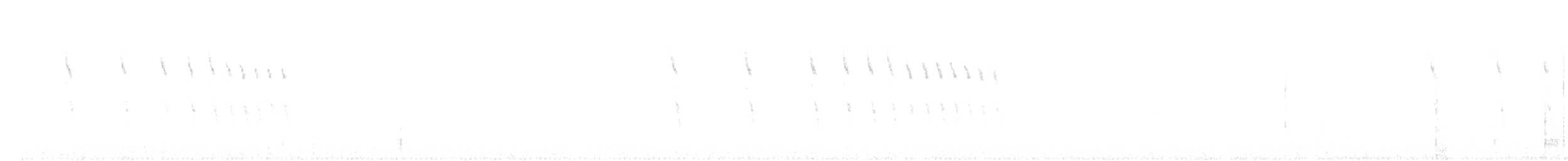 Rufous-winged Sparrow - ML639028212