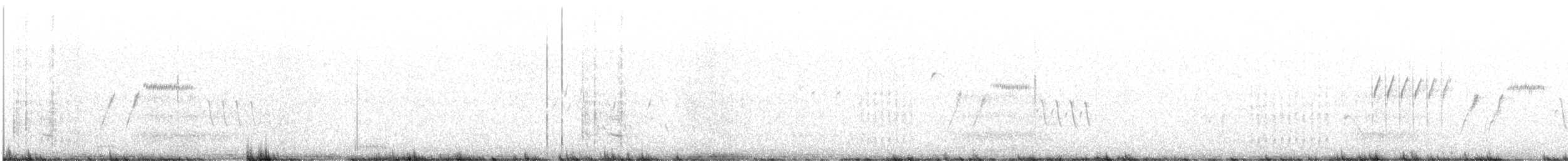 Black-throated Sparrow - ML639029596