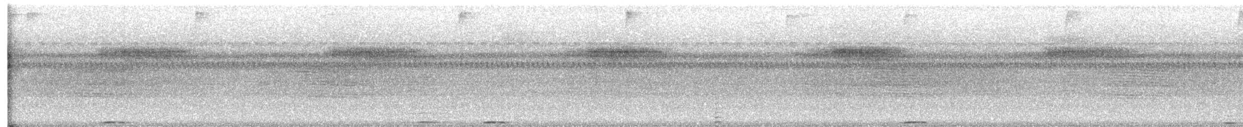 Rufous Motmot - ML639029979
