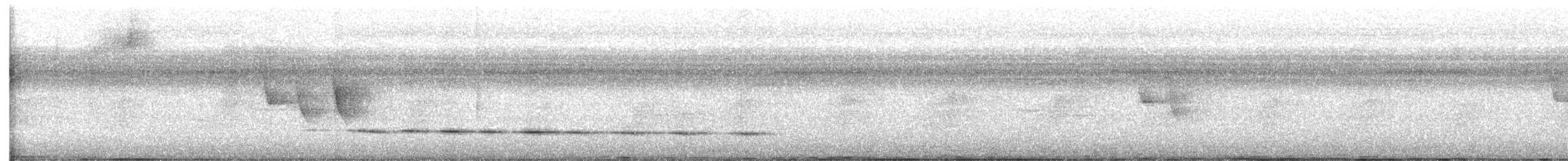 Streak-chested Antpitta - ML639030783