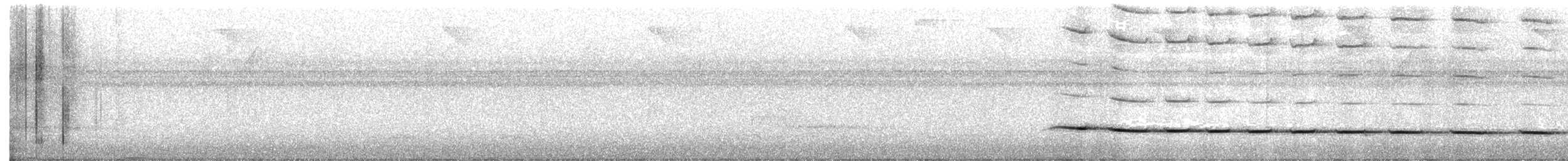 Streak-chested Antpitta - ML639030902