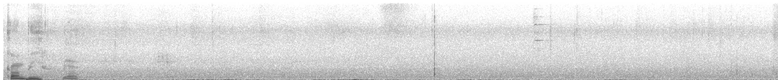 New Zealand Fantail - ML639031110