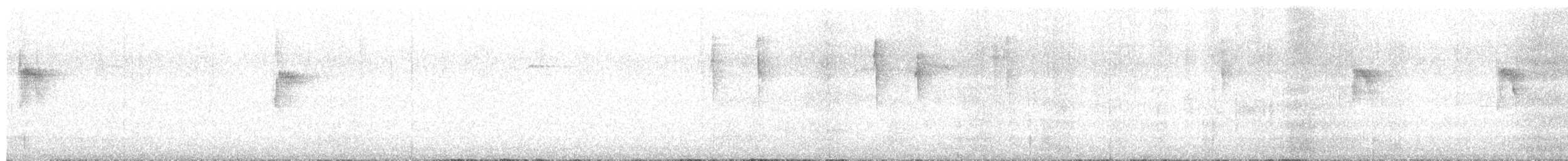 New Zealand Fantail - ML639031218