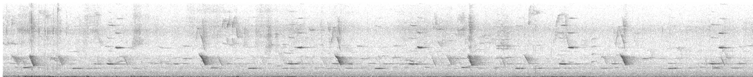 North Island Kokako - ML639031366