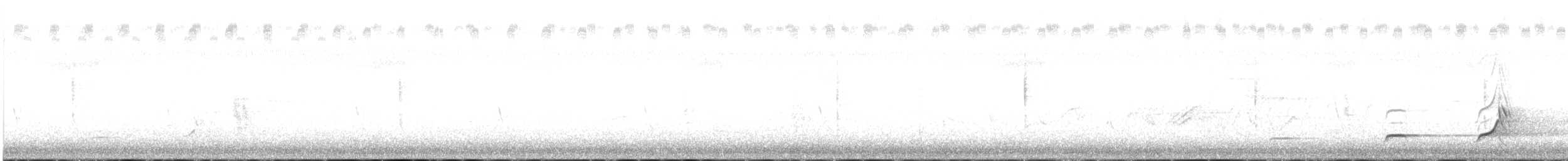 Northern Bobwhite - ML639031814