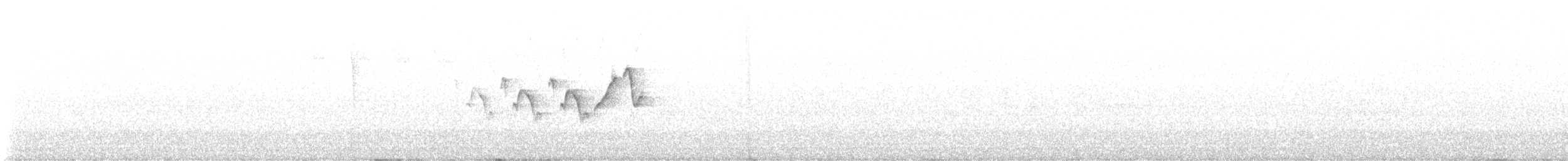 Magnolia Warbler - ML639031989