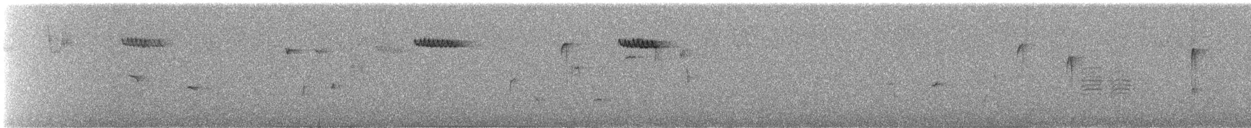 Brown Creeper - ML639032107