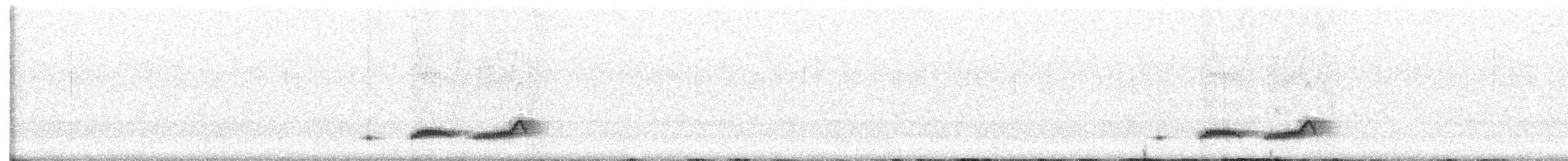 Dusky Nightjar - ML639036486
