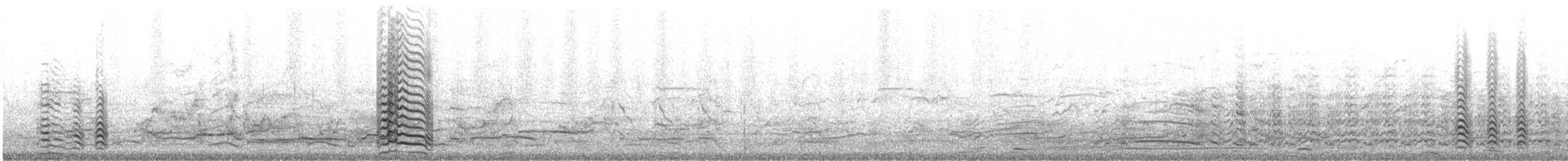 Lesser Black-backed Gull (graellsii) - ML639037844