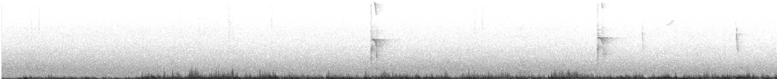 Hairy Woodpecker - ML639039149