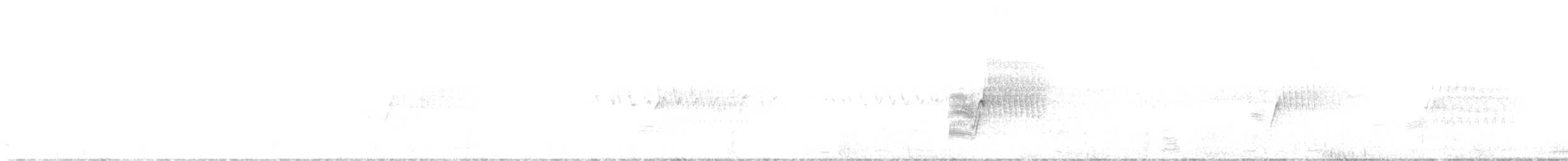 Spotted Towhee - ML639040226