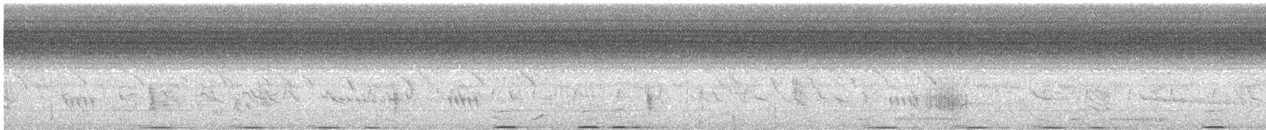 Southern Ground-Hornbill - ML639040321