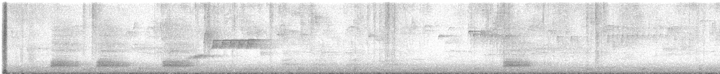 Bewick's Wren - ML639042189