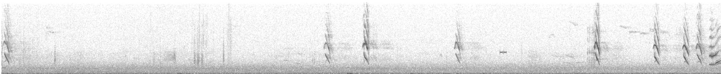 Austral Blackbird - ML639043577