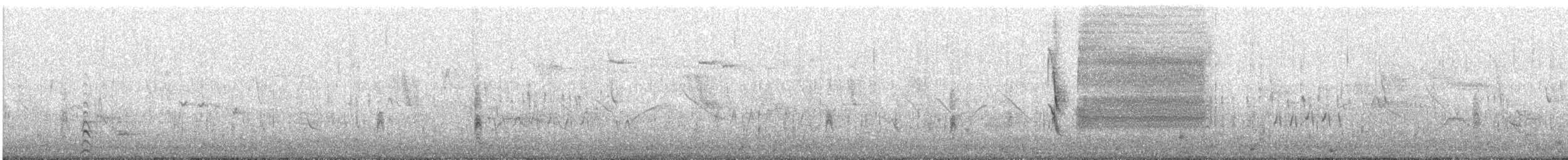 Yellow-winged Blackbird - ML639043586