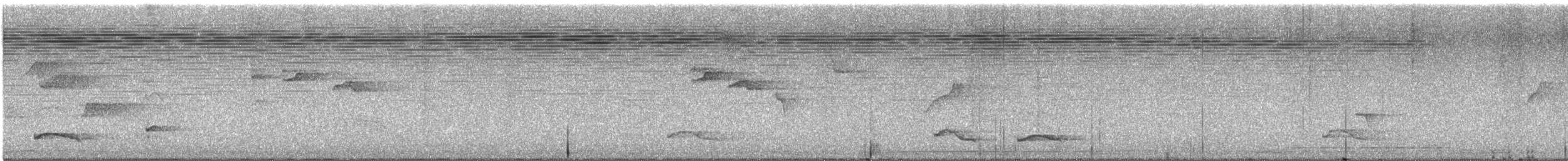 Long-tailed Manakin - ML639043835
