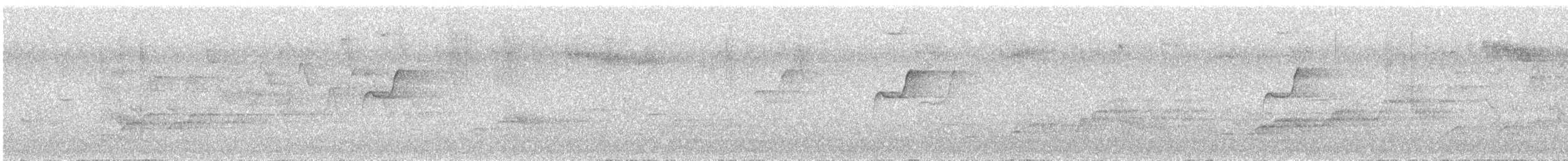 Western Flycatcher (Pacific-slope) - ML639043915