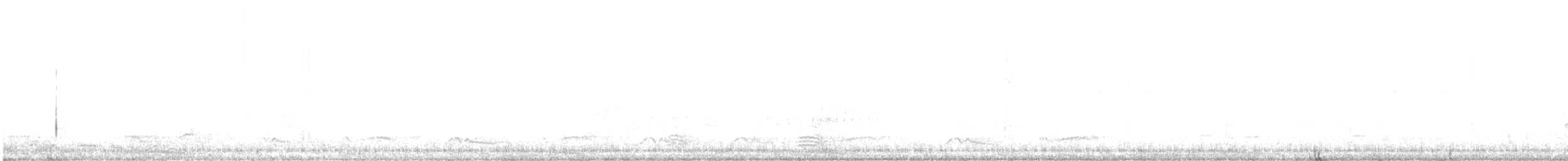 תור נקוד - ML639044861