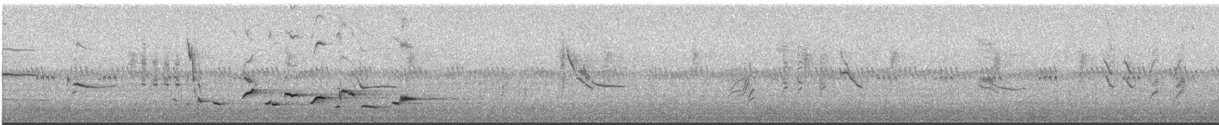 Scott's Oriole - ML639045175