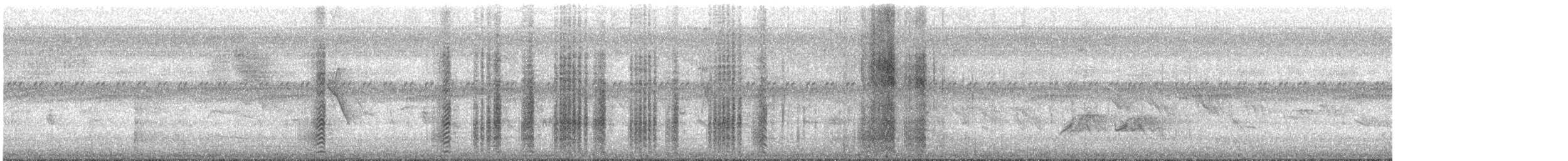 Black-crowned Tityra - ML639048969