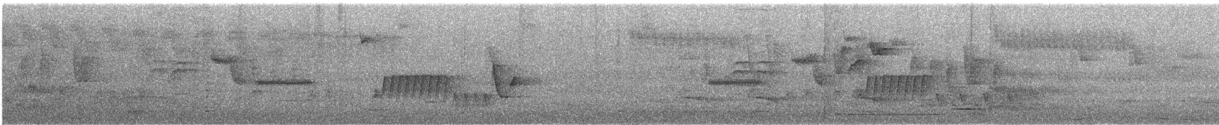 Southern House Wren - ML639051472