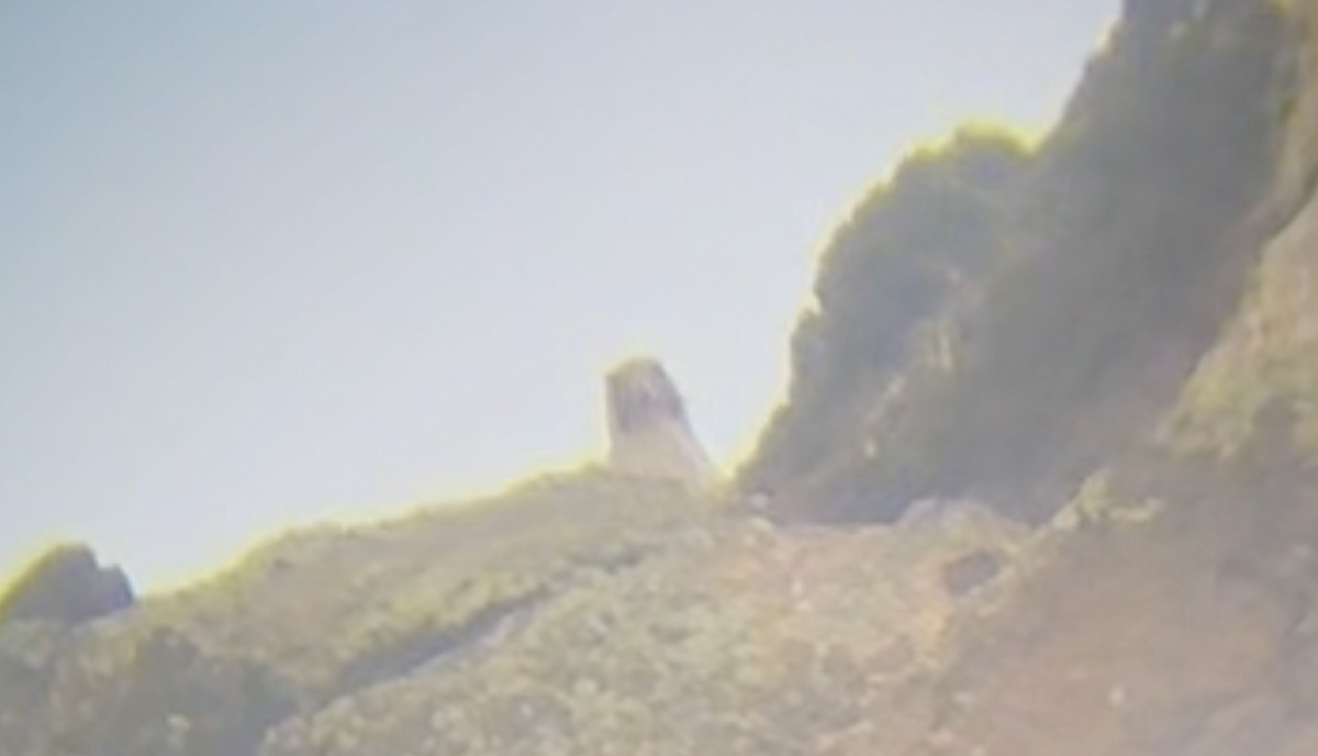 Gyrfalcon - ML639051828