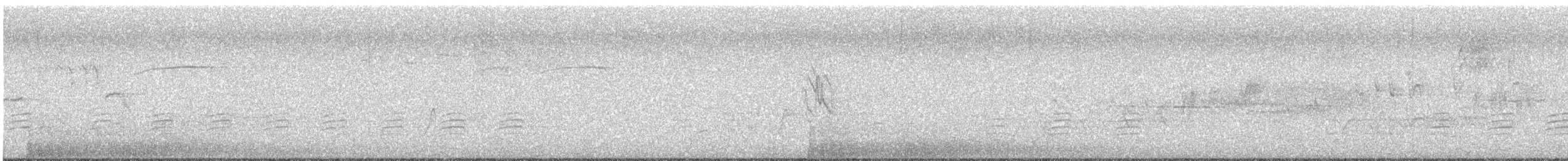 Hermit Warbler - ML639051852