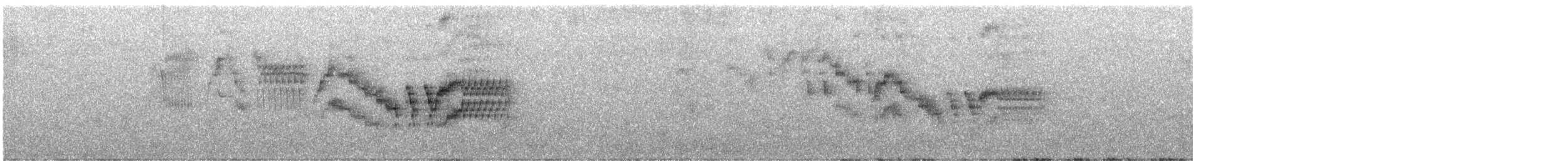 drozd newfoundlandský - ML639051956