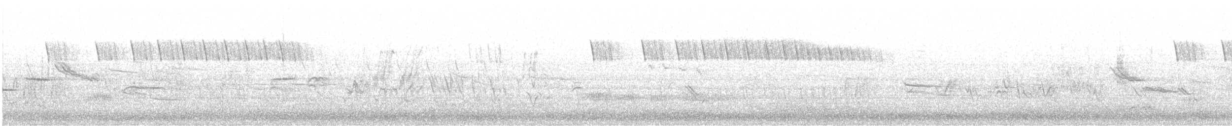 tornspurv - ML639052111