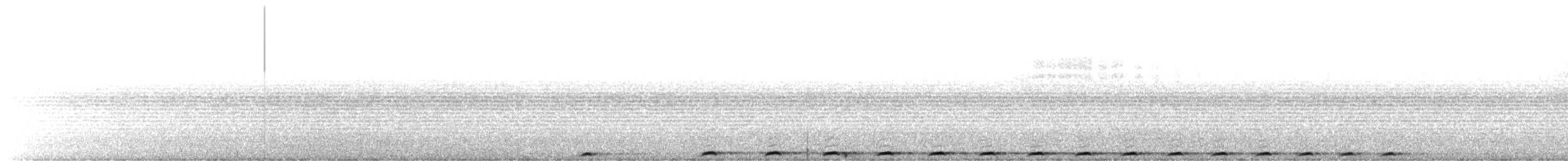 Pheasant Coucal - ML639055592