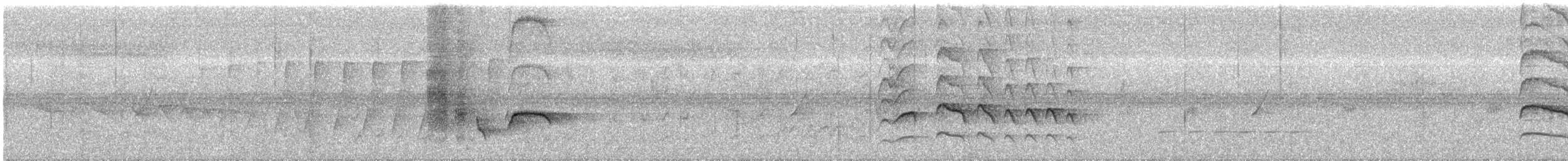 Bronzed Drongo - ML639055865