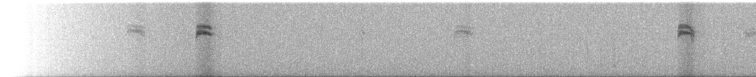 Song Sparrow (melodia/atlantica) - ML639056336