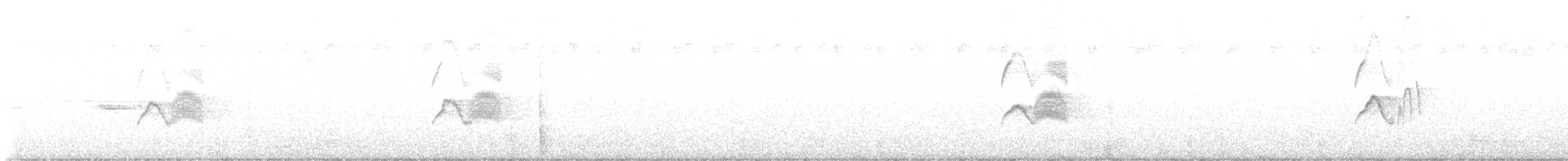 Eastern Phoebe - ML639057491