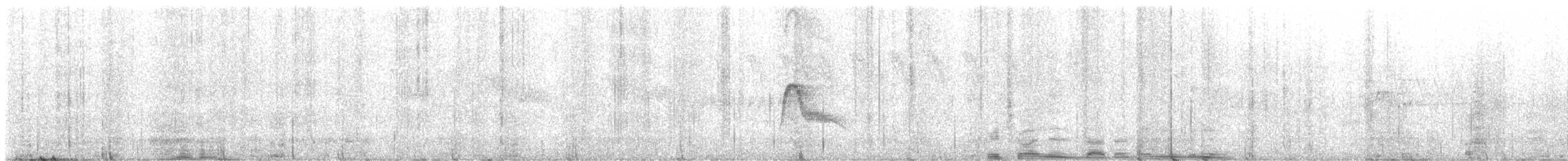 Caribbean Elaenia - ML639058602