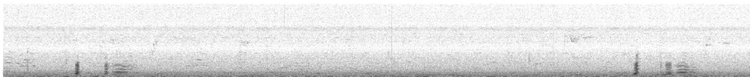 Coscoroba Swan - ML639061953