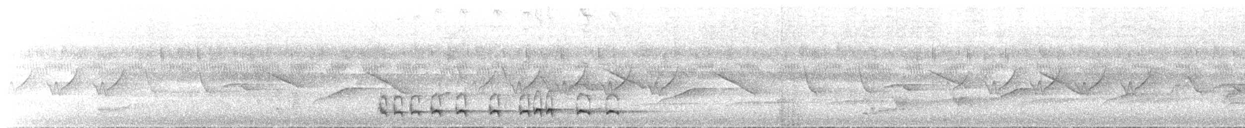 Wing-barred Piprites - ML639062089