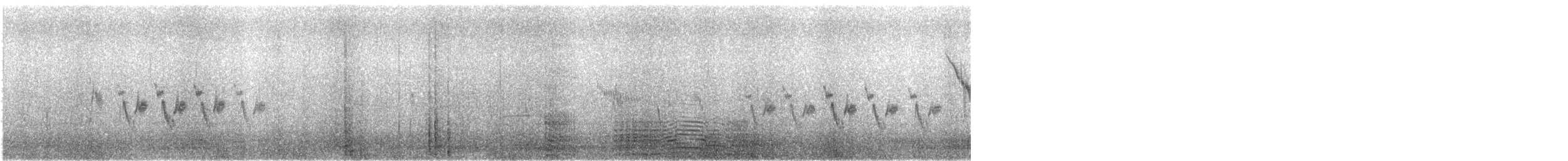 Pipit de Richard - ML639062916