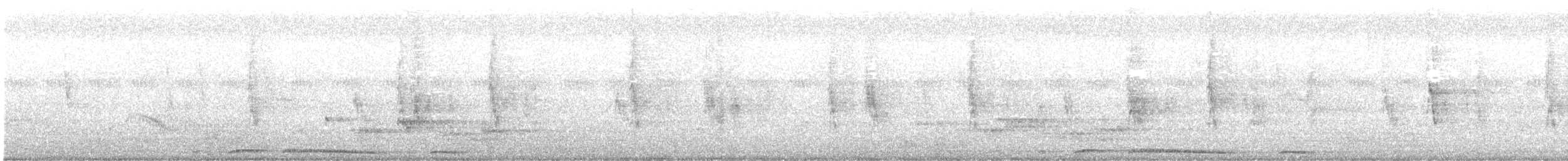Spotted Dove - ML639064732