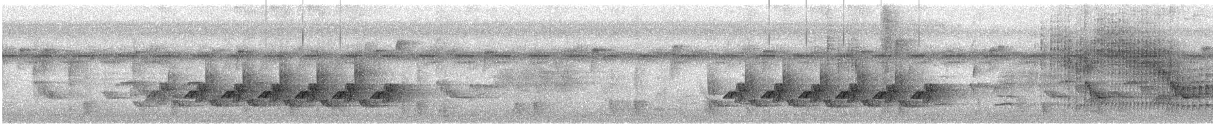 チャバラマユミソサザイ - ML639066393