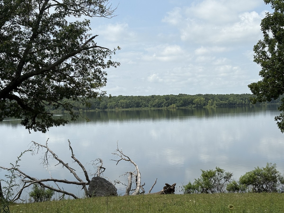null - ML639067035