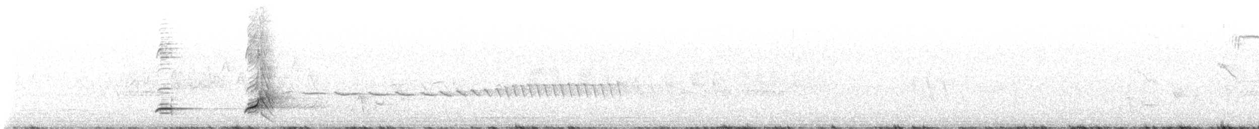 Northern Bobwhite - ML639067565