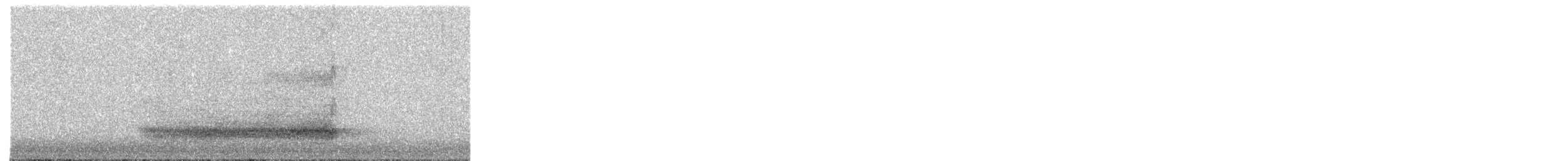 Western Barn Owl - ML639073953